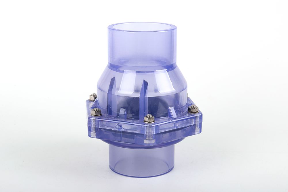 大朗镇透明翻板式止回阀